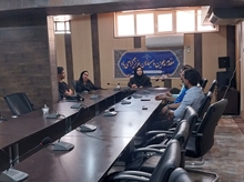 کمیته توسعه دانشجویی